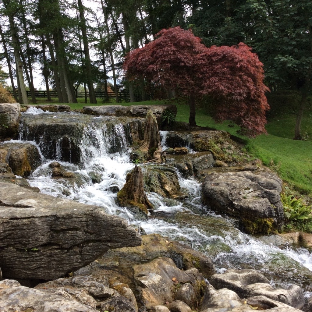 Cascade dans un jardin verdoyant